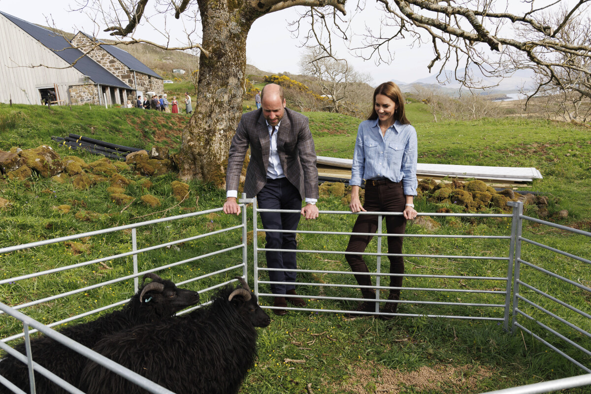 Britain Royals