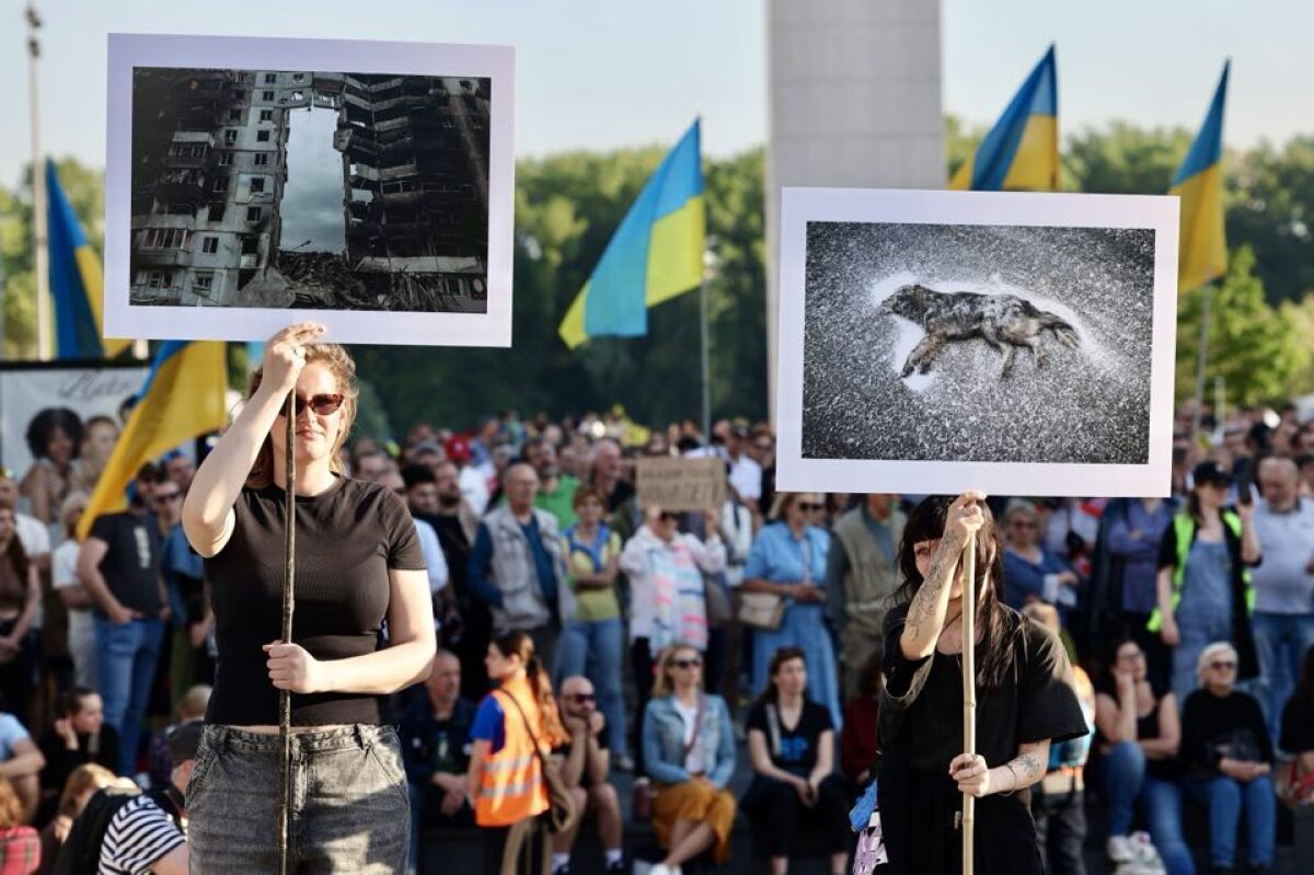netrebko, protest
