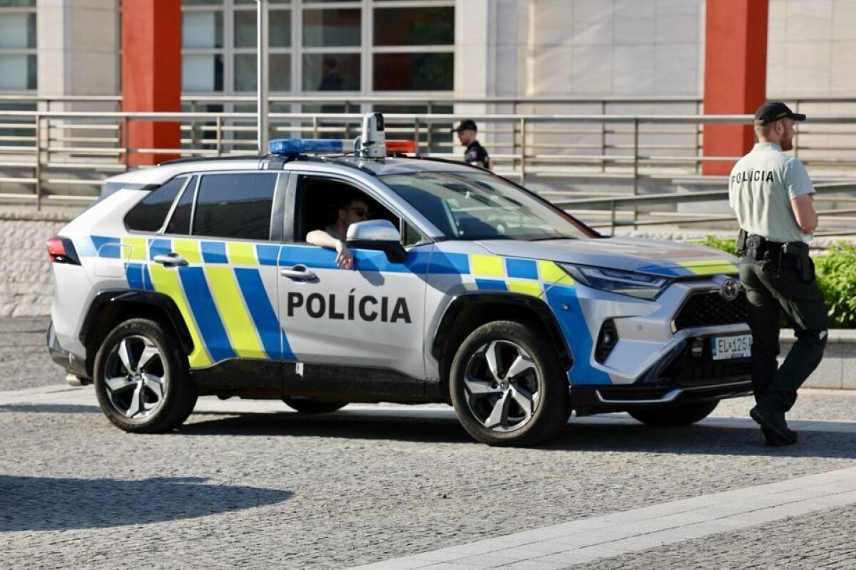 protest, otvorená kultúra, netrebko, polícia, policajné auto