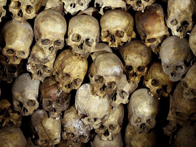 Skeleton