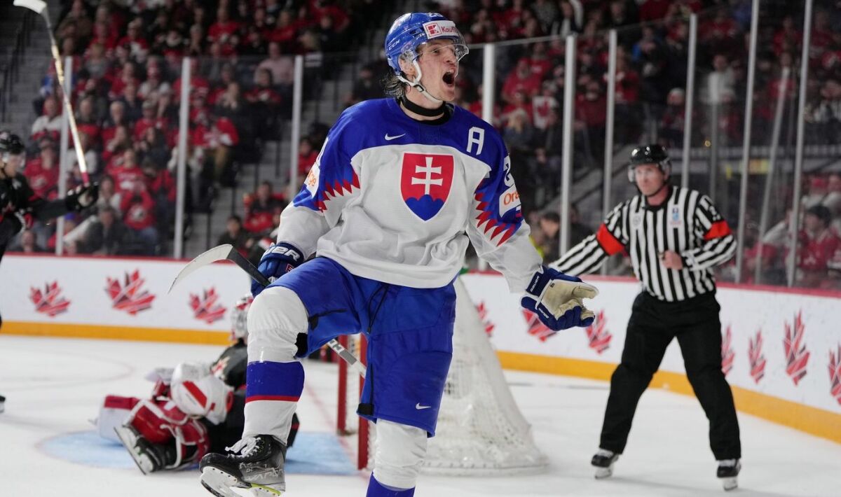 14b. Libor Nemec