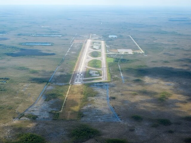everglade1