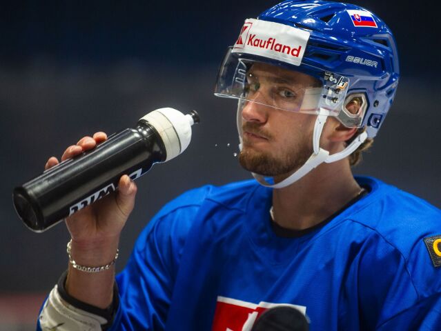 14b. Pavol Regenda