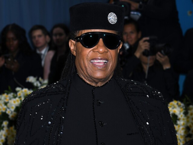 Stevie Wonder