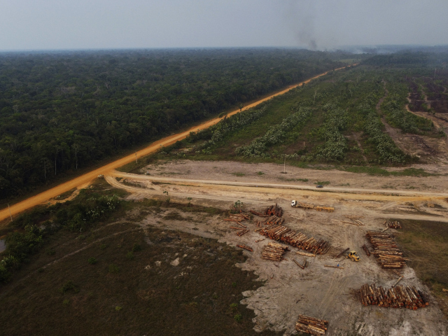 amazonia