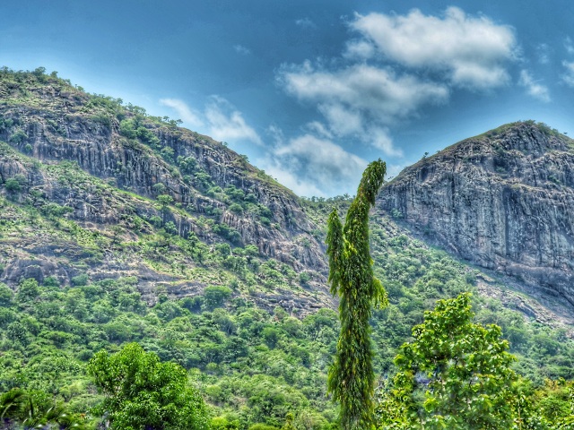 Benin, Afrika, kopce, hora, zeleň, les, stromy, príroda, turistika, cestovanie, dovolenka