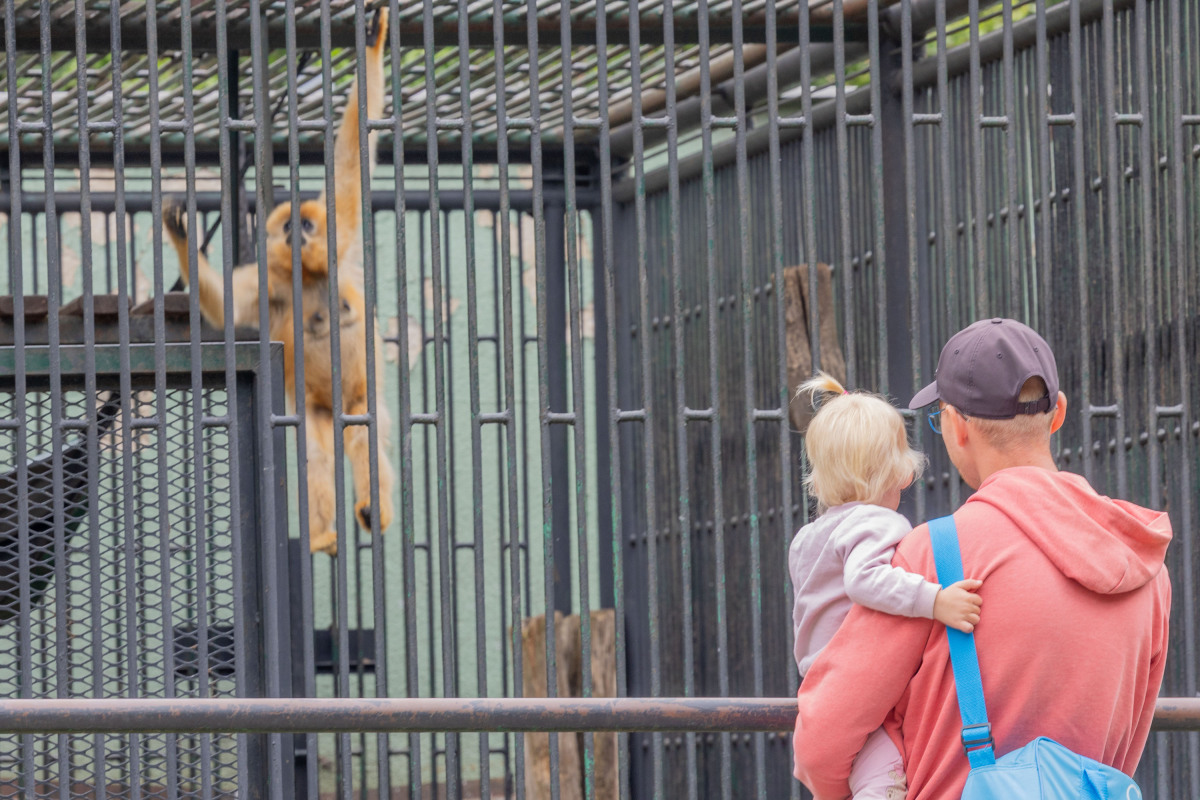 ZOO, zoologická záhrada,