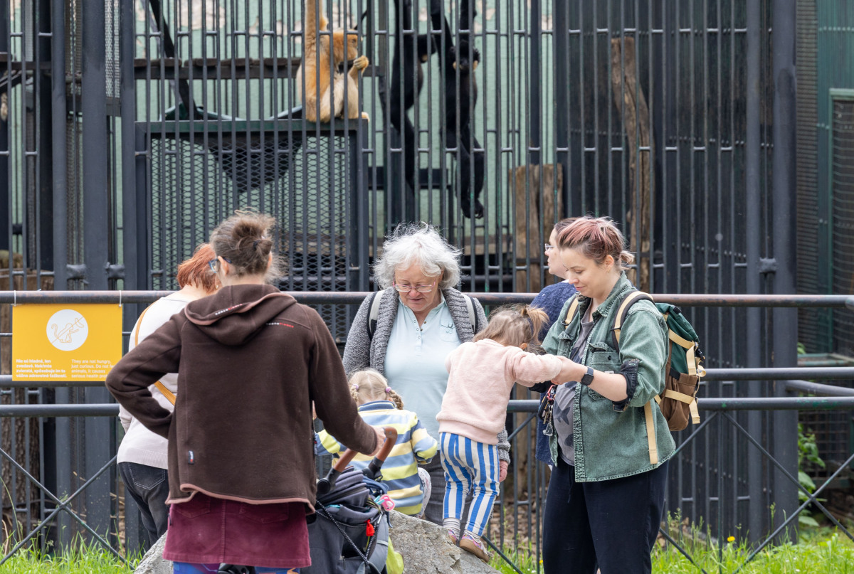 ZOO, zoologická záhrada,