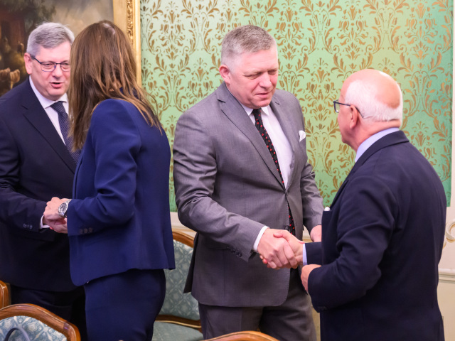 Fico europoslanci misia susko