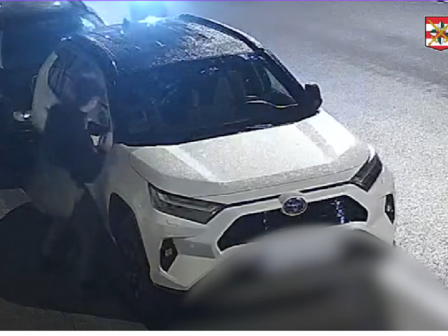 vandal, spätné zrkadlá, Polícia ČR, vylamovanie