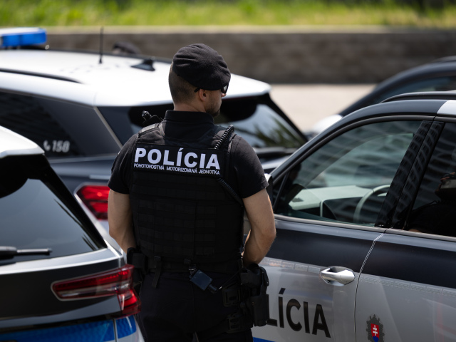 polícia policajt