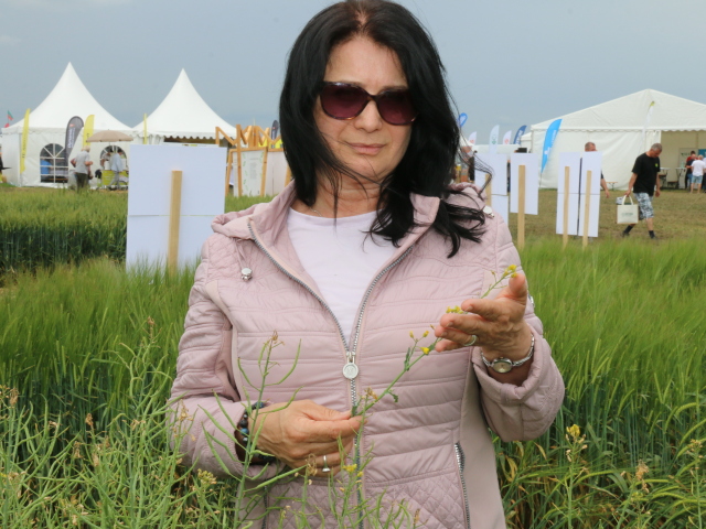 Bronislava Skarbova