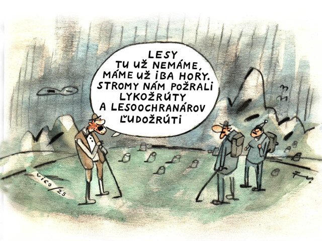 VICO, 16.06.2025