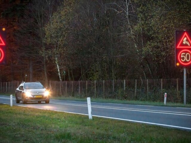 Roadside Animal Detection System Animex