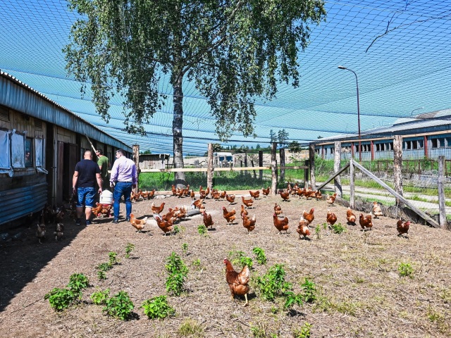 farma, Brezno