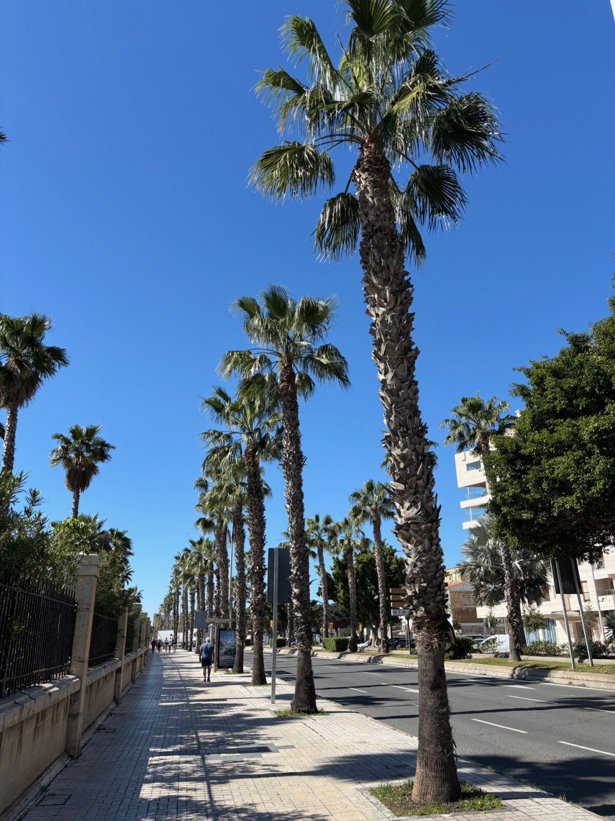 Malaga