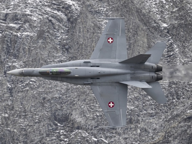Hornet / Fighter Jet /