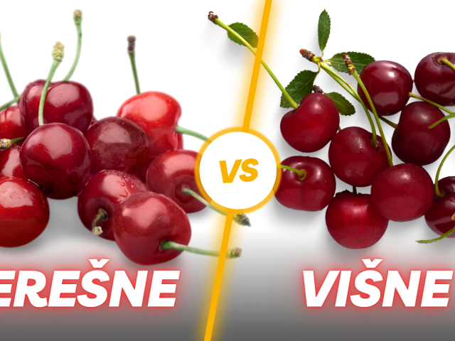 višne, čerešne, NEPOUŽÍVAŤ