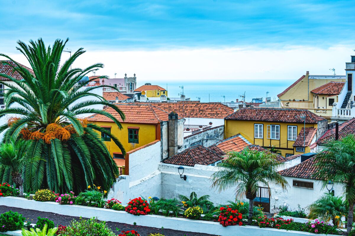 tenerife, kanárske ostrovy, dovolenka, cestovanie