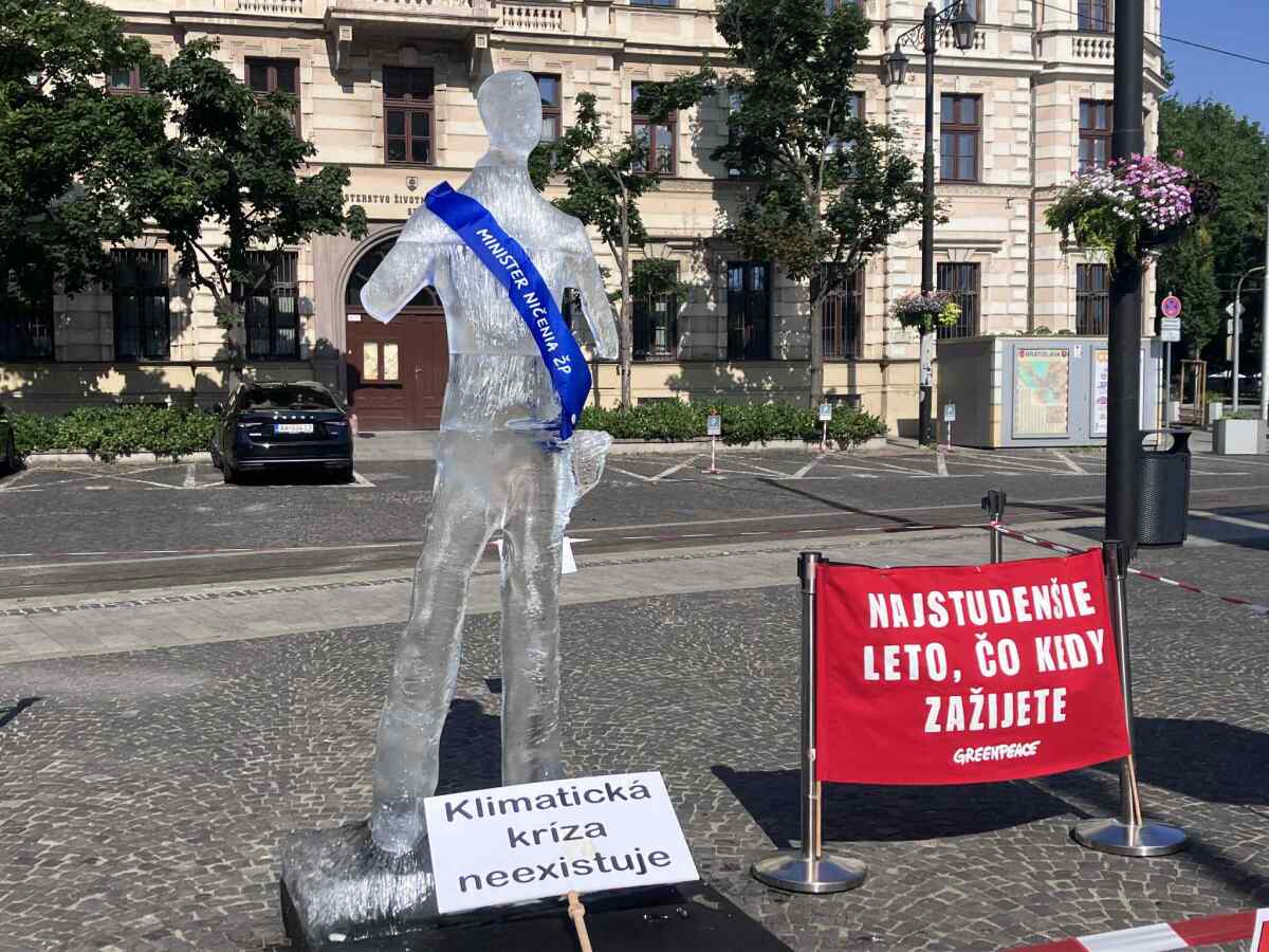ľadová socha, Tomáš Taraba, Greenpeace