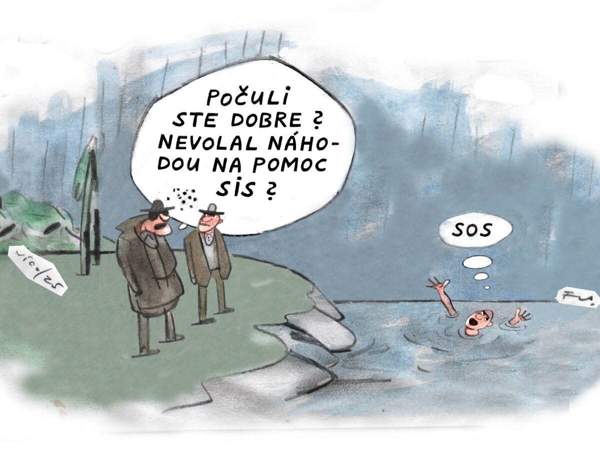 VICO, 07.07.2025