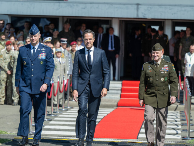 GRYNKEWICH RUTTE CAVOLI