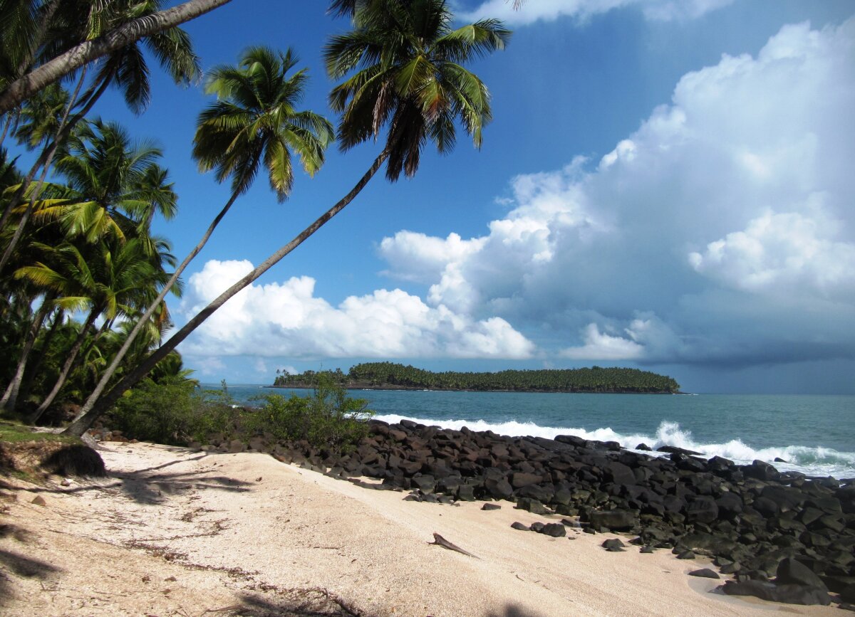 Guyana, pláž, more, palma, dovolenka, cestovanie, piesok,