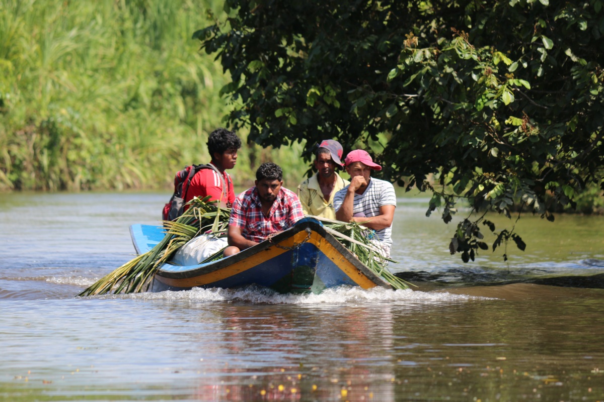 guyana, roľníci, čln, rieka, plavba, loďka