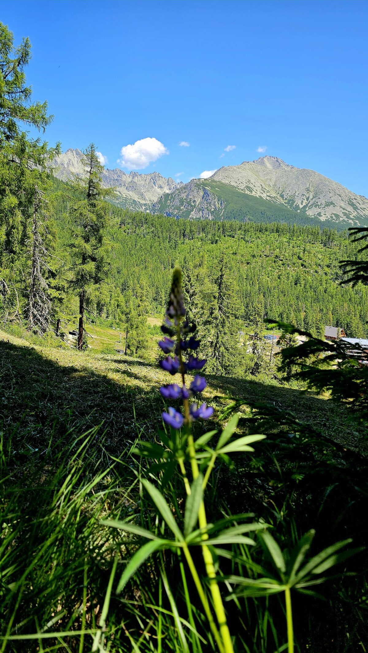 Štrbské Pleso, mReportér