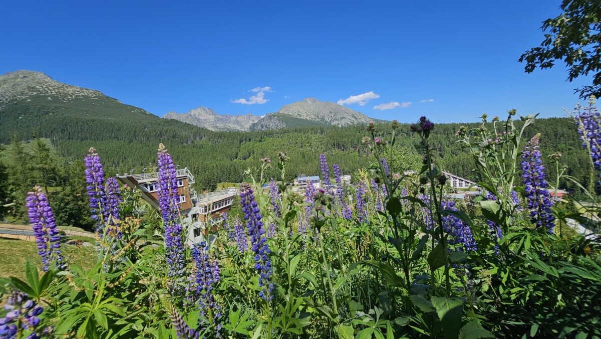 Štrbské Pleso, mReportér