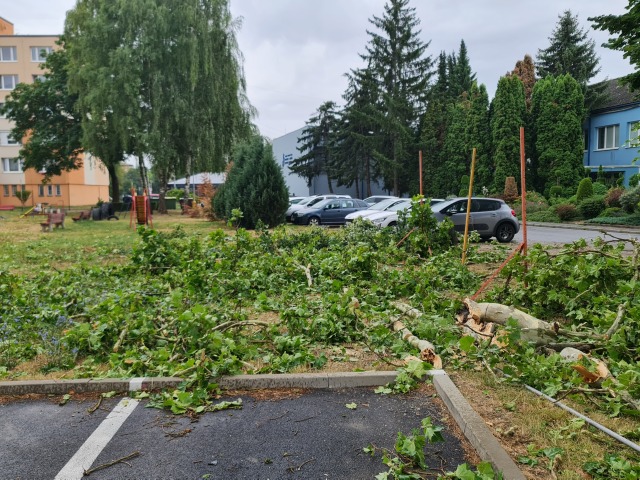 Spust  ktoru zanechala veterna smrst na Sportovej ulici v Rimavskej Sobote