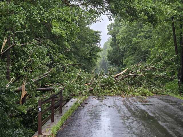 Zvaleny strom na ceste v okrese Roznava