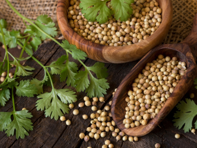 Aromatická bylinka: Koriander, to sú semienka aj vňať. Viete, kedy ktoré použiť?