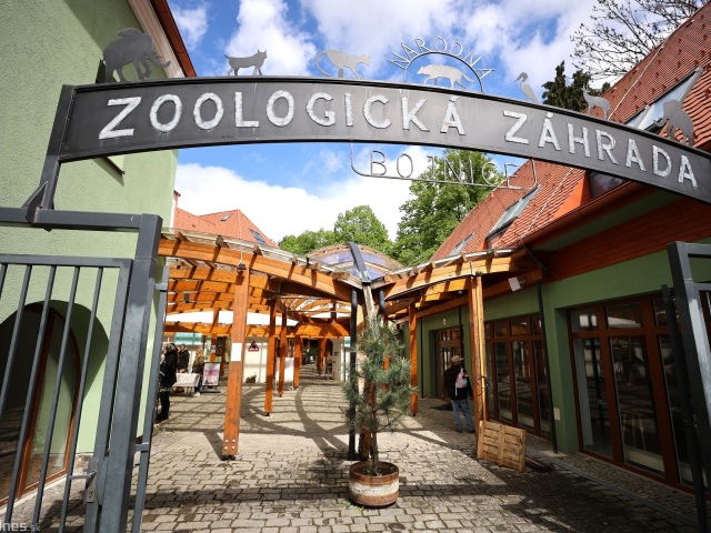 zoo, Bojnice