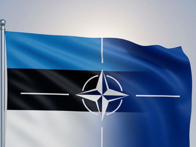 Vlajka EST - NATO - obrázok vytvorený AI