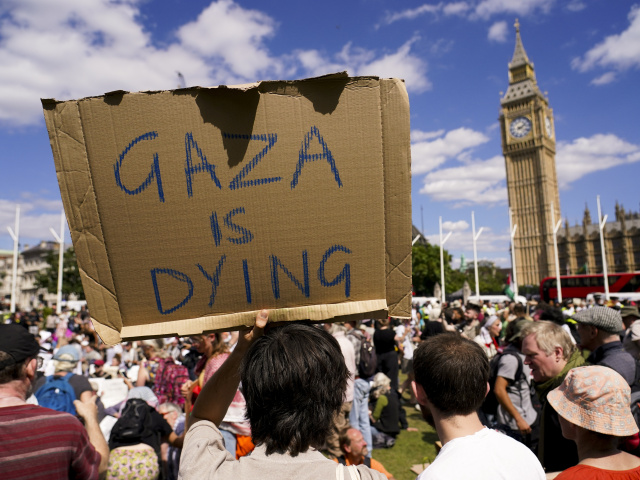 británia protest palestína londýn gaza