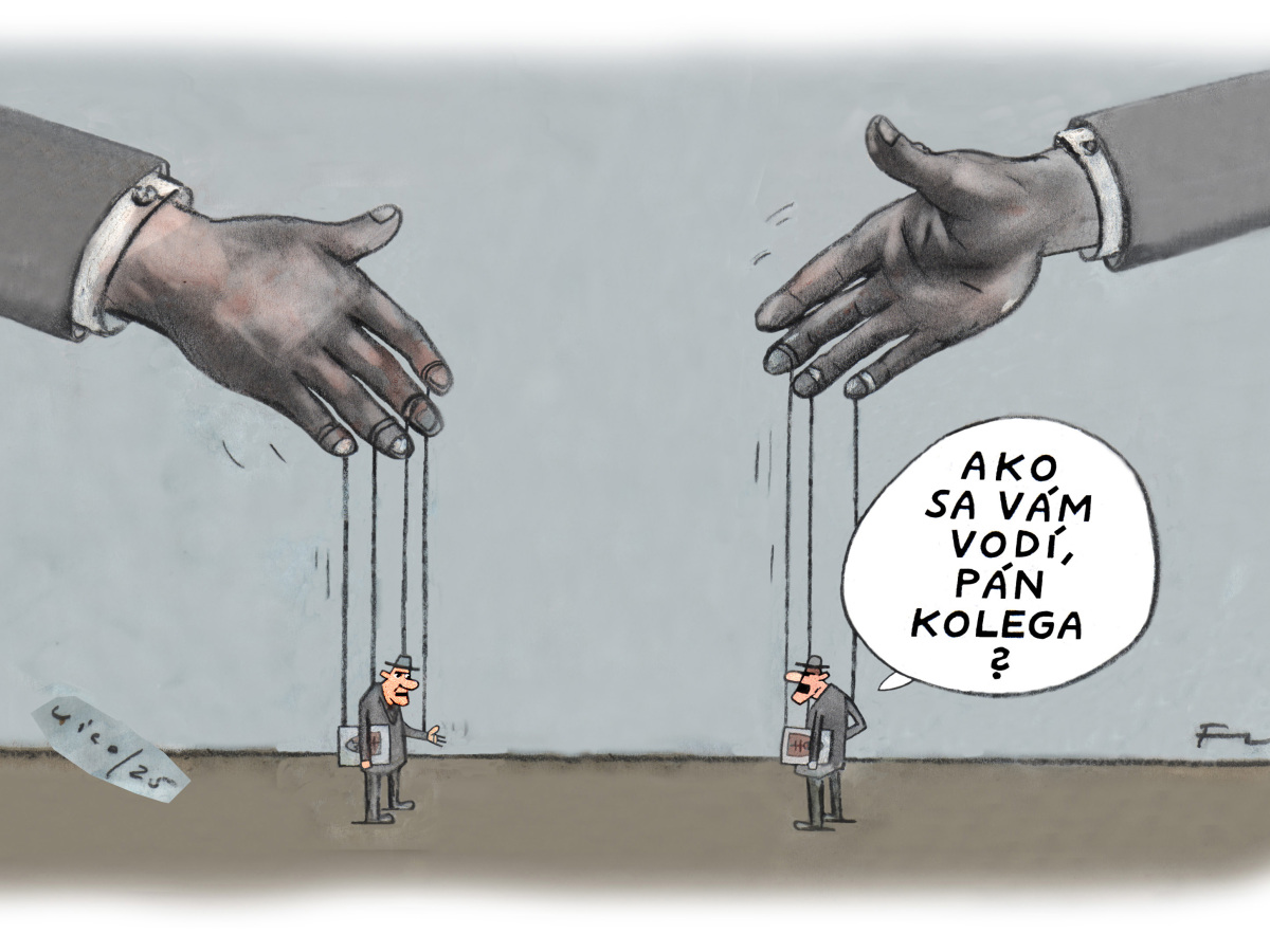 Vico babky