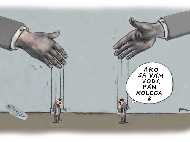 Vico babky