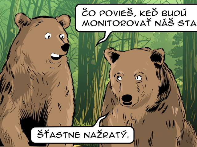 Medvede