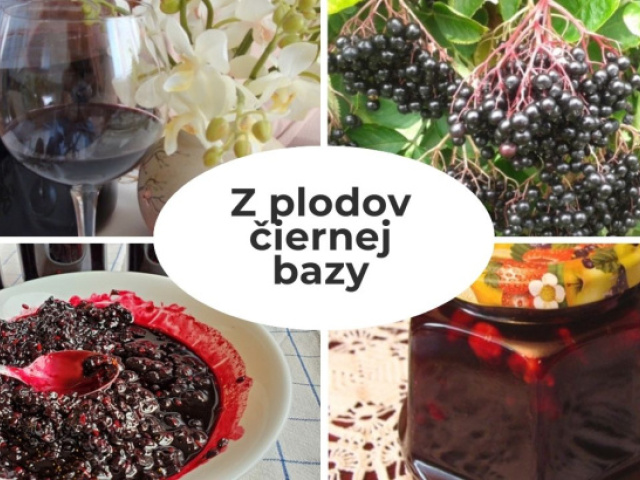 Zdravie z prírody: Domáce produkty z plodov čiernej bazy. Uvarte si lekvár, sirup či likér