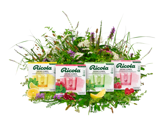 RIC s RGB Kraeuterbouquet layers Kopie