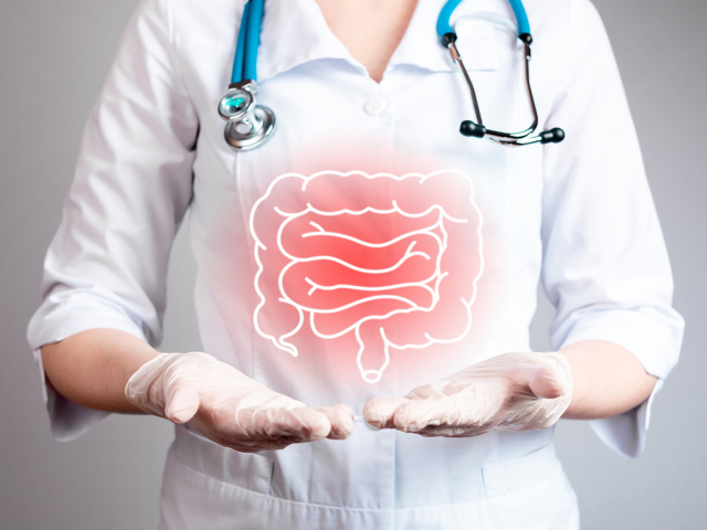 IBD, črevo, črevá, tráviace ústrojenstvo, Crohnova choroba, ulcerózna kolitída