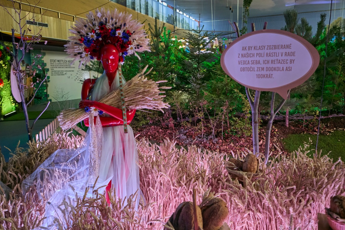 agrokomplex 2025