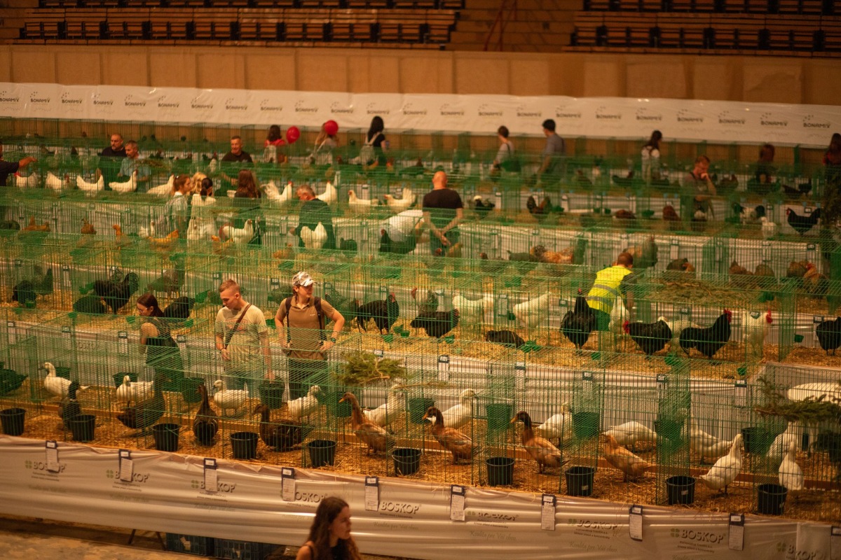 Agrokomplex 2025