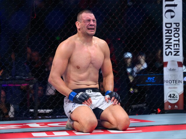 Delija UFC MMA