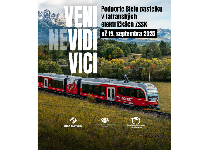 Plagat - Zbierka Biela pastelka vo vlakoch