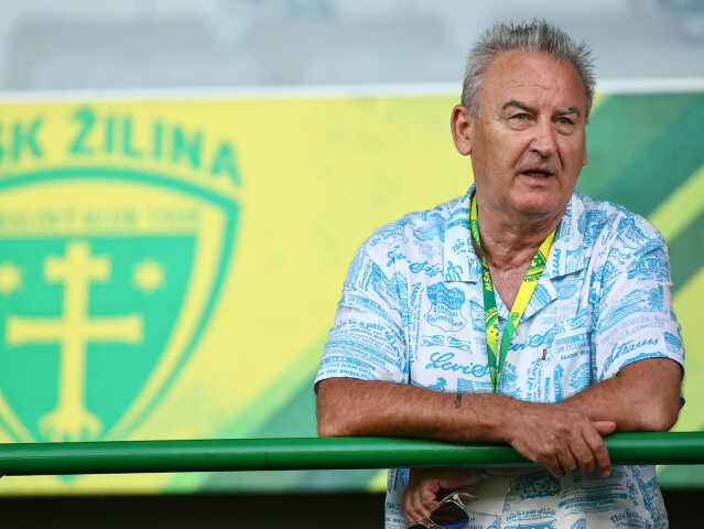 Vladimír Goffa