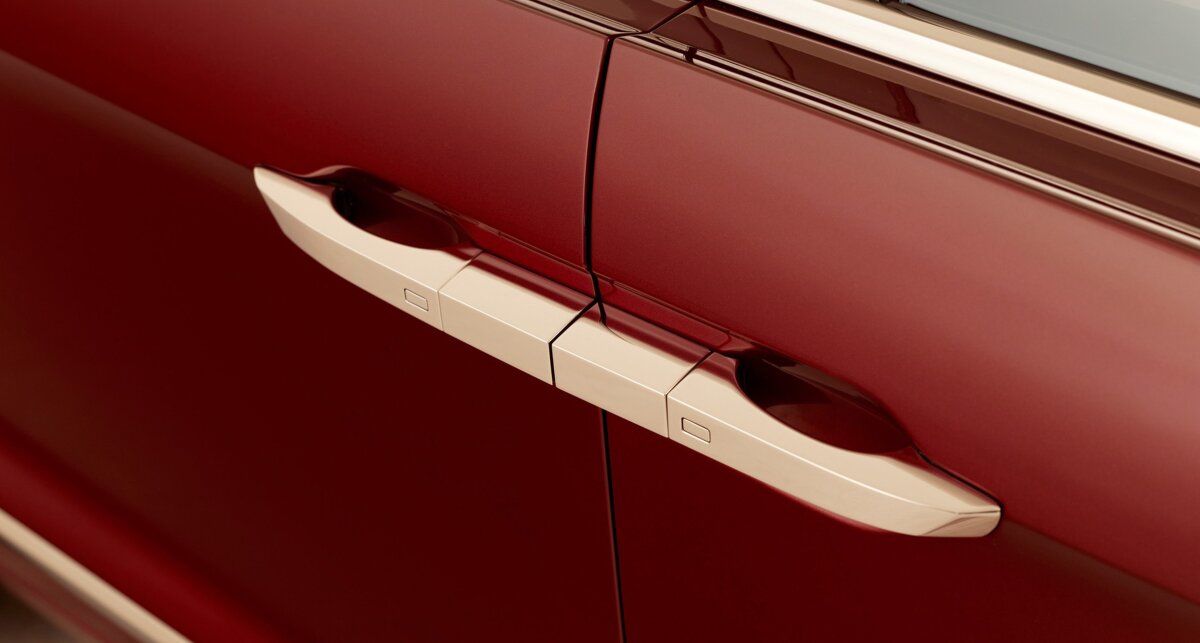 Packard Excellence - 2025