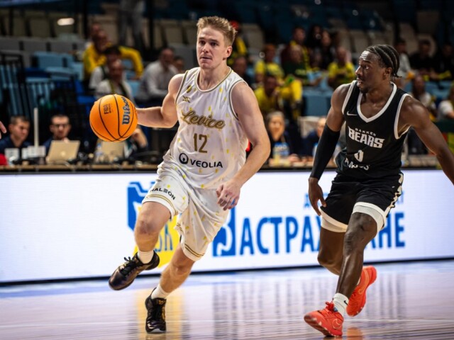 levice bears