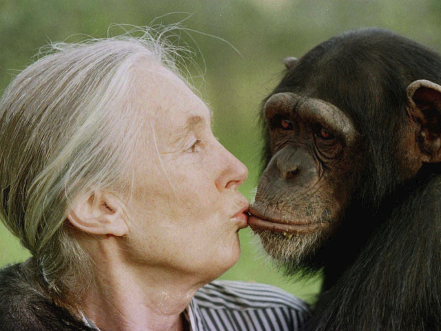 Obit Jane Goodall